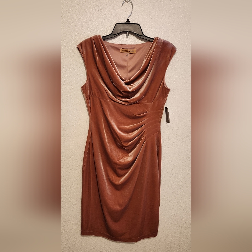 Nipon Boutique Dress Blush Size 4 NWT